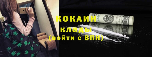 твердый Мегион