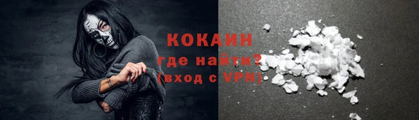 твердый Мегион