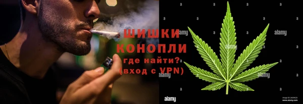 ГАЛЛЮЦИНОГЕННЫЕ ГРИБЫ Магас