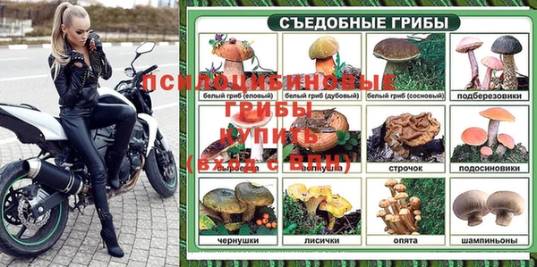 твердый Мегион