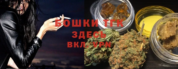 твердый Мегион