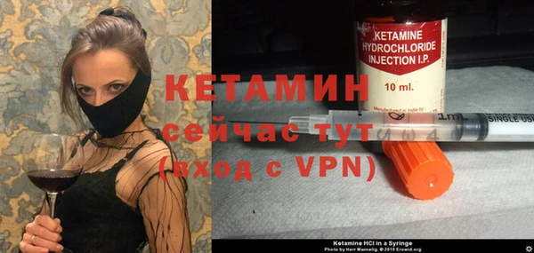 твердый Мегион