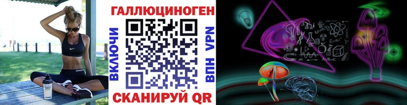 закладки  Шагонар  гидра маркетплейс  Галлюциногенные грибы Cubensis 